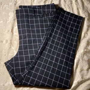 Dress pants